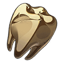 Старый коренной зуб