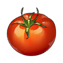 Красный паслён