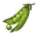 Стручковая фасоль