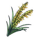 Цветок риса