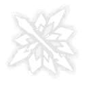 얼음 화살비의 시간