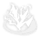 전광석화의 순간