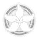 대지를 밝히는 통찰