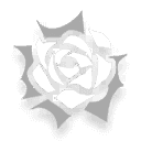 정원에서 <unbreak>「내」가 수여한 공훈</unbreak>