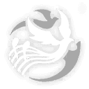 날갯짓으로 전해지는 노랫소리