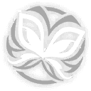 반딧불이 Type-IV•데스 스타 과부하