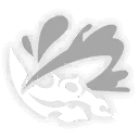 인술•칠전팔기