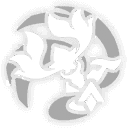 변화무상한 금실