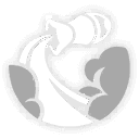 별과 달이 가득한 내일