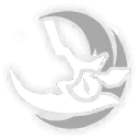 애도, 사해의 파문