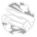 날갯짓하는 꽃으로 왕관을 씌우리