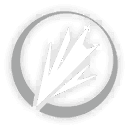 얼음을 관통하는 빛